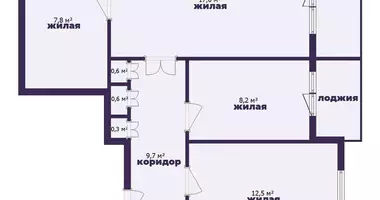 4 room apartment in Sluck, Belarus