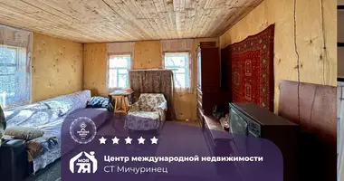 Дом в Олехновичи, Беларусь