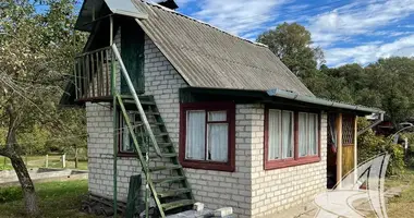 House in Matykalski sielski Saviet, Belarus