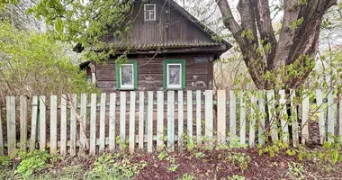 House in Minsk, Belarus