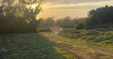 Propriété commerciale dans Monténégro