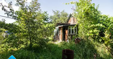 Haus in Ziabrauka, Weißrussland