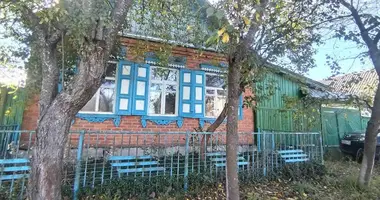 House in Dobrush, Belarus