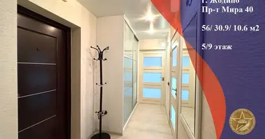 2 room apartment in Zhodzina, Belarus