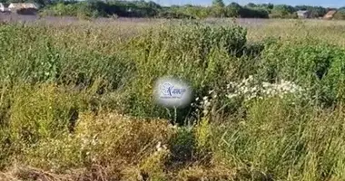 Propriété commerciale 700 m² dans District fédéral du Nord-Ouest, Russie