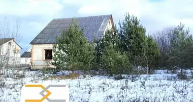 Haus in Pleschtschanizy, Weißrussland