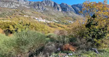 Terrain dans Monténégro