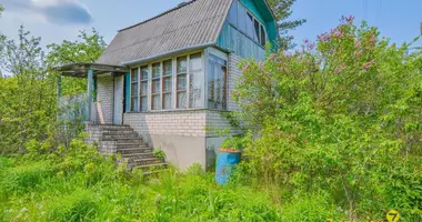 Haus in Lasanski sielski Saviet, Belarus