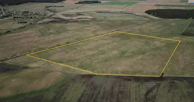 Plot of land in Naujasis Tarpupis, Lithuania