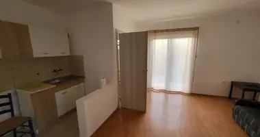 Apartment 10 bedrooms in Montenegro