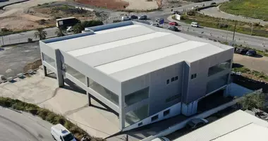 Entrepôt 2 764 m² dans Lakatamia, Bases souveraines britanniques