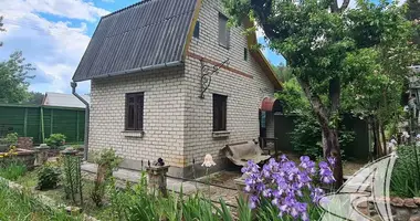 House in Muchaviecki sielski Saviet, Belarus