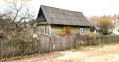 House in Berezovskiy selskiy Sovet, Belarus