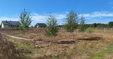 Terrain dans Nienawiszcz, Pologne