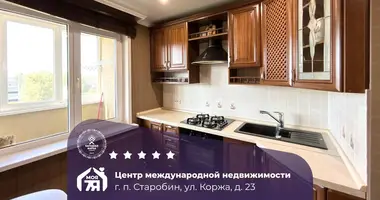 Wohnung 3 zimmer in Starobin, Belarus