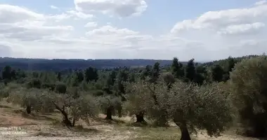 Plot of land in Kassandreia, Greece
