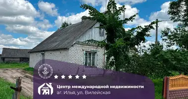 House in Ilya, Belarus