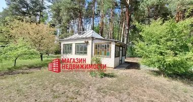 Dom w Padlabenski selski Savet, Białoruś
