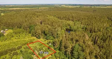 Plot of land in Vilkaraistis, Lithuania