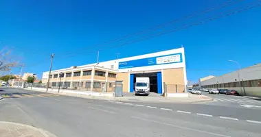 Warehouse 4 978 m² in Alicante, Spain