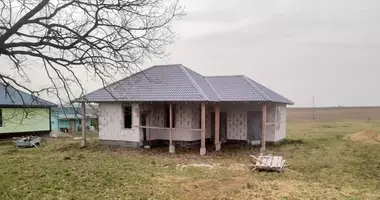 2 bedroom house in Dabryniouski sielski Saviet, Belarus