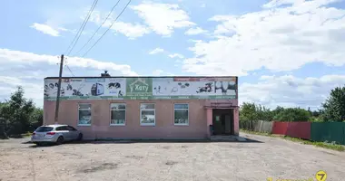 Shop 350 m² in Krupki, Belarus