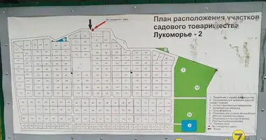 Grundstück in Piatryskauski sielski Saviet, Belarus