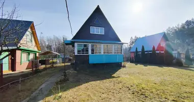 House in Aliachnovicki sielski Saviet, Belarus