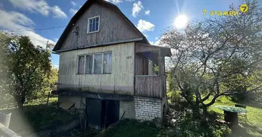 House in Lasanski sielski Saviet, Belarus