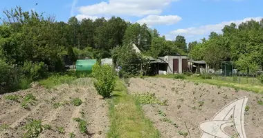 Grundstück in Matykalski sielski Saviet, Weißrussland