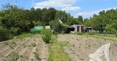 Działka w Matykalski sielski Saviet, Białoruś