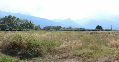 Terrain dans Neos Panteleimonas, Grèce