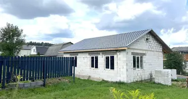 House in Astrasyckaharadocki sielski Saviet, Belarus