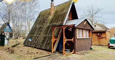 Дом в Залесский сельский Совет, Беларусь