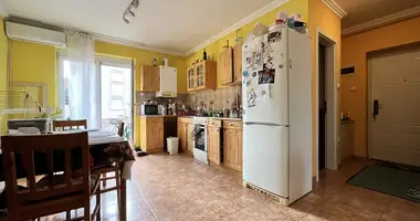 2 room apartment in Albertirsa, Hungary