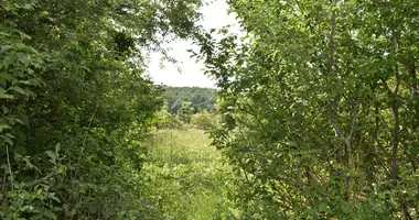 Plot of land in Hollad, Hungary