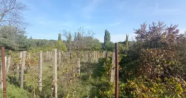 Участок земли в Монор, Венгрия