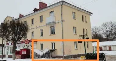 3 room apartment in Orsha, Belarus