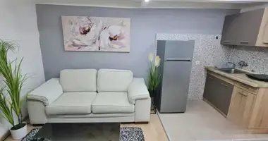 1 bedroom apartment in Belgrade, Serbia