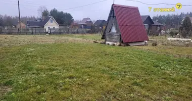 Terrain dans Rubiazevicki siel ski Saviet, Biélorussie