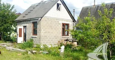 House in Telminski sielski Saviet, Belarus