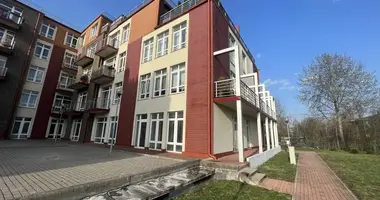 Gewerbefläche 170 m² in Bezirk Marienbach, Lettland