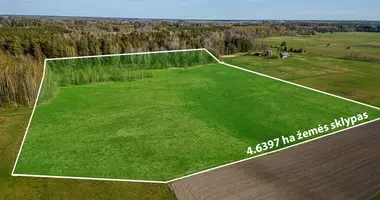 Plot of land in Jurgaiciai, Lithuania