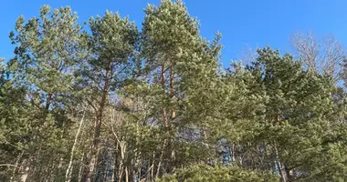 Terrain dans Jzufouski siel ski Saviet, Biélorussie