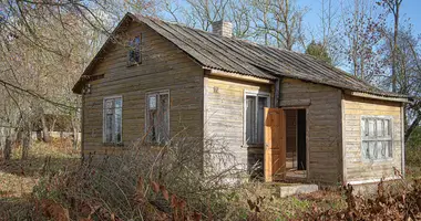 House in Padvariai, Lithuania