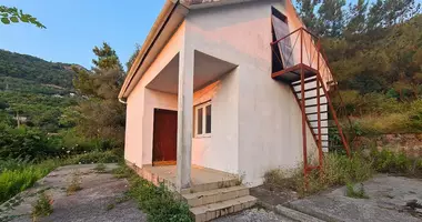 Commercial property in Radanovici, Montenegro