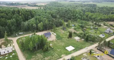 Участок земли в Острошицкий сельский Совет, Беларусь