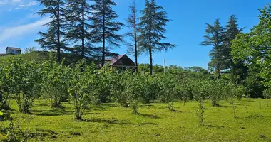 Parcela en Chakvi, Georgia