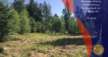 Grundstück in Bialarucki sielski Saviet, Belarus