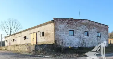 Warehouse 100 m² in Pielisca, Belarus